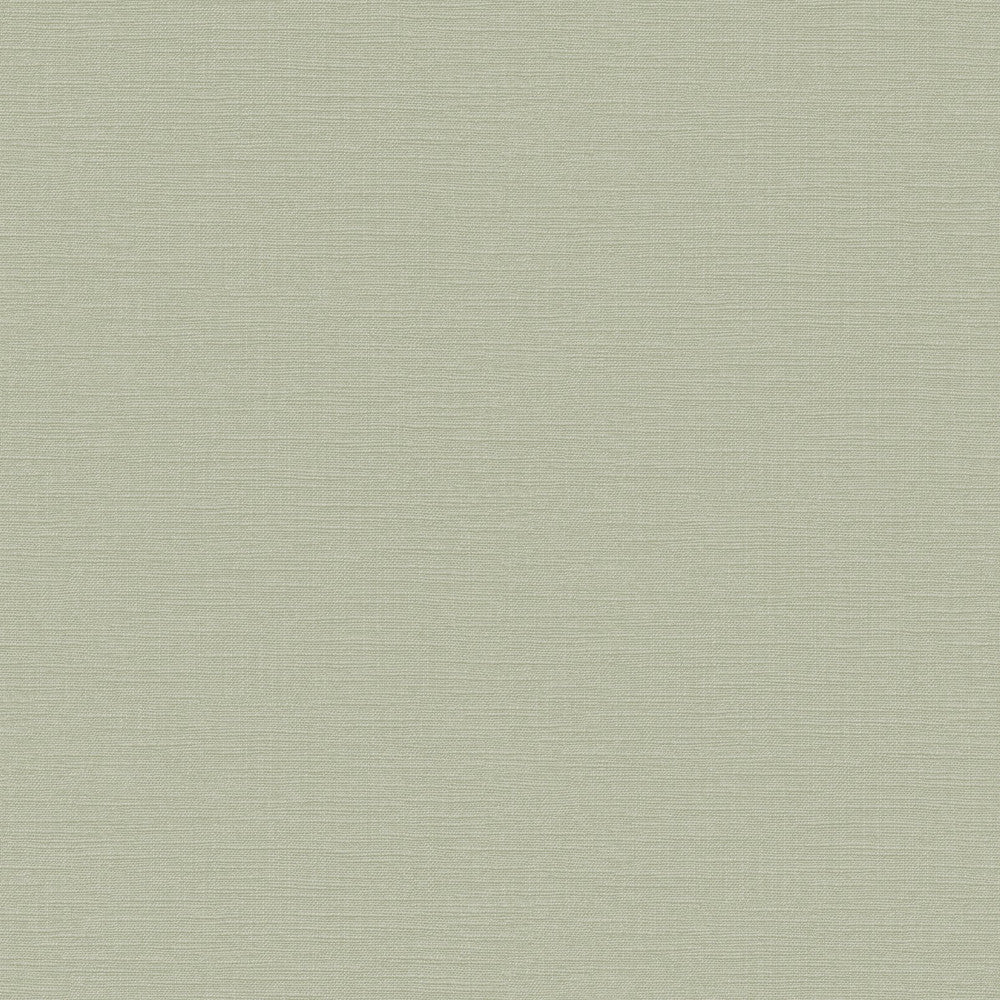 127640 - Amour Wallpaper - Sage - Superfresco Easy