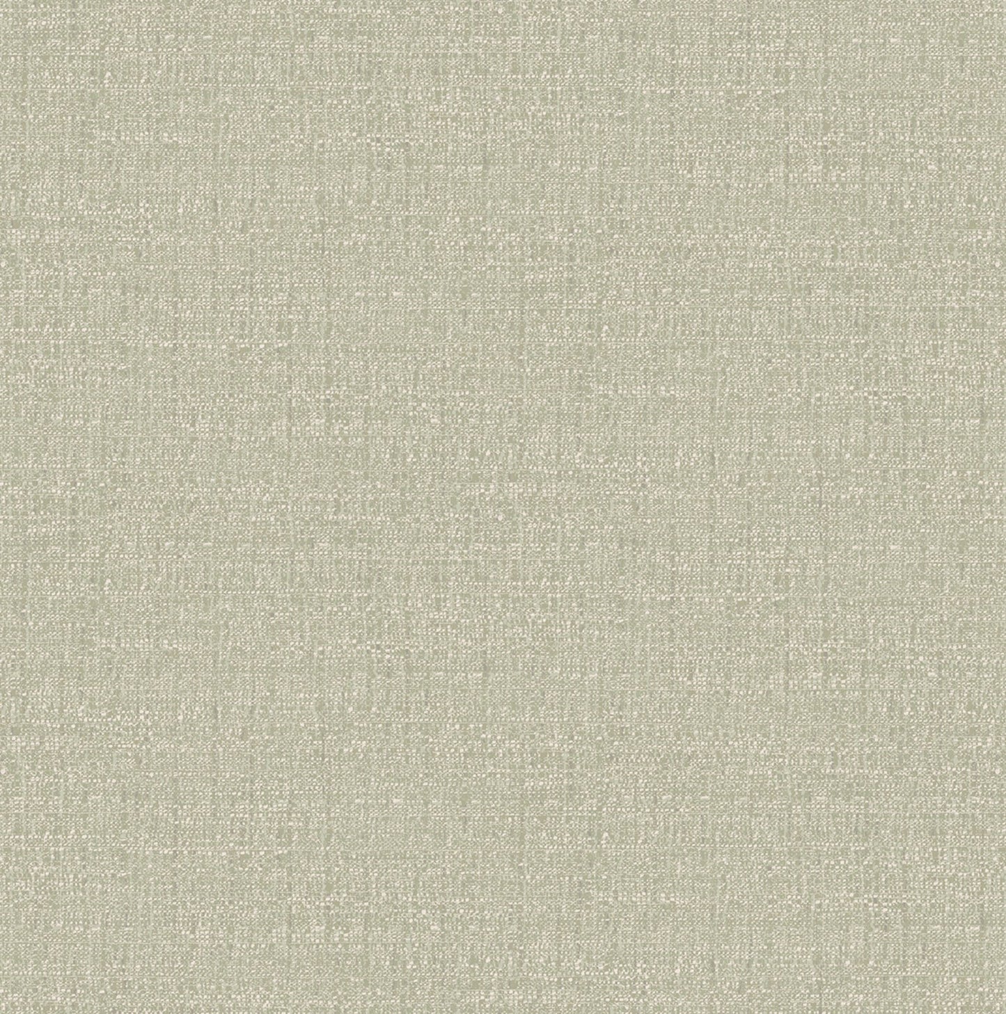 127905 - Albion Texture Wallpaper - Sage - Graham & Brown