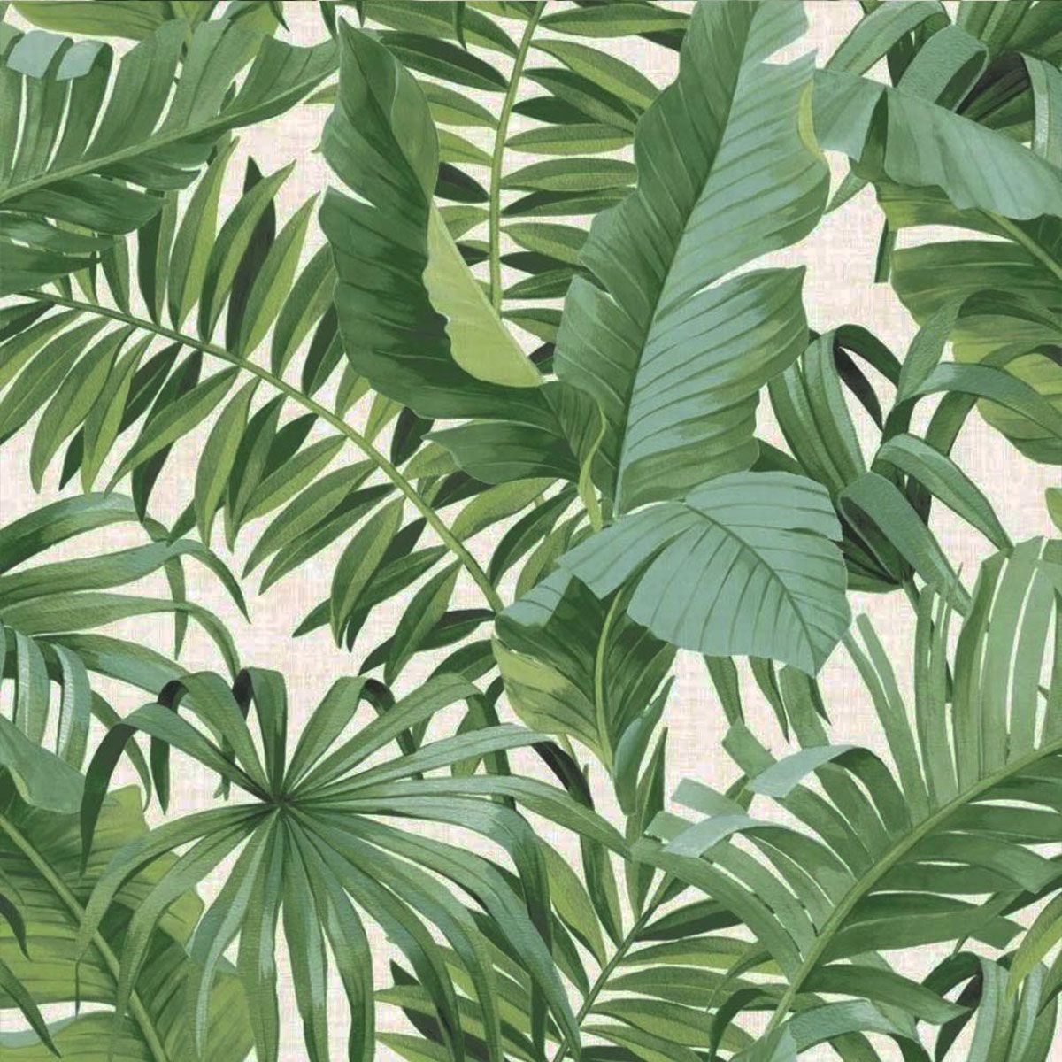 A-Street Prints Solstice Palm Leaf Wallpaper - Green - Fine Decor