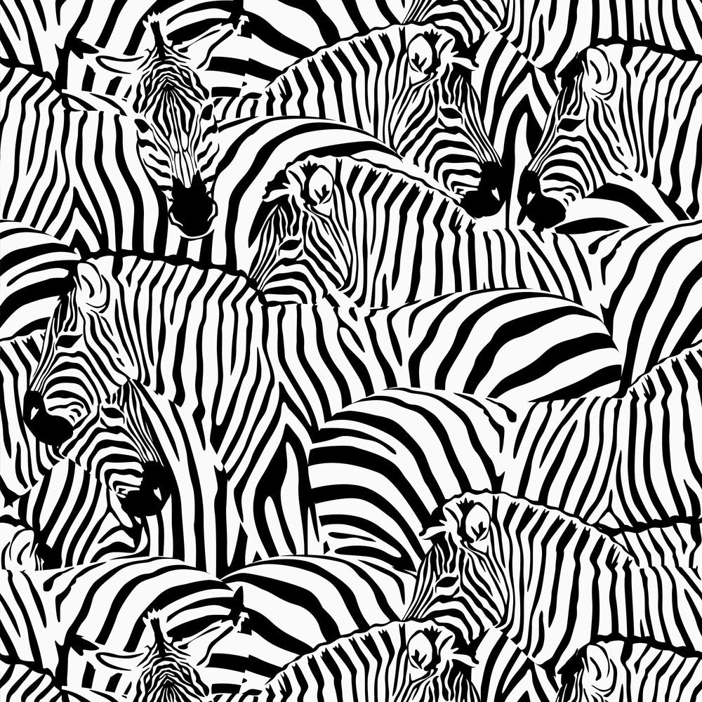 LH900266 - Hide and Seek Wallpaper - Monochrome - Lust Home