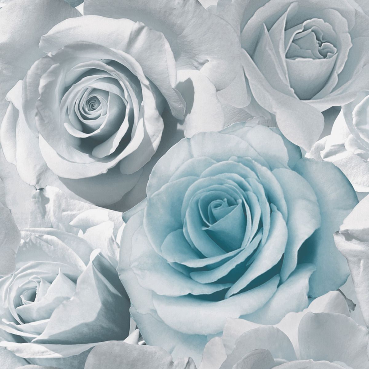 Madison Rose Floral Wallpaper - Blue - Muriva