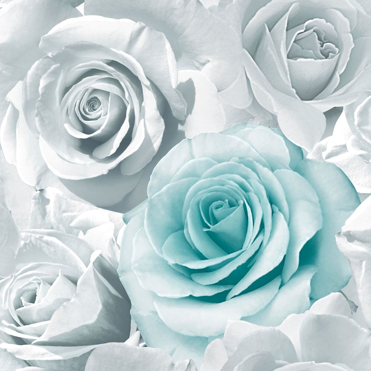 Madison Rose Glitter Floral Wallpaper - Aqua & Grey - Muriva