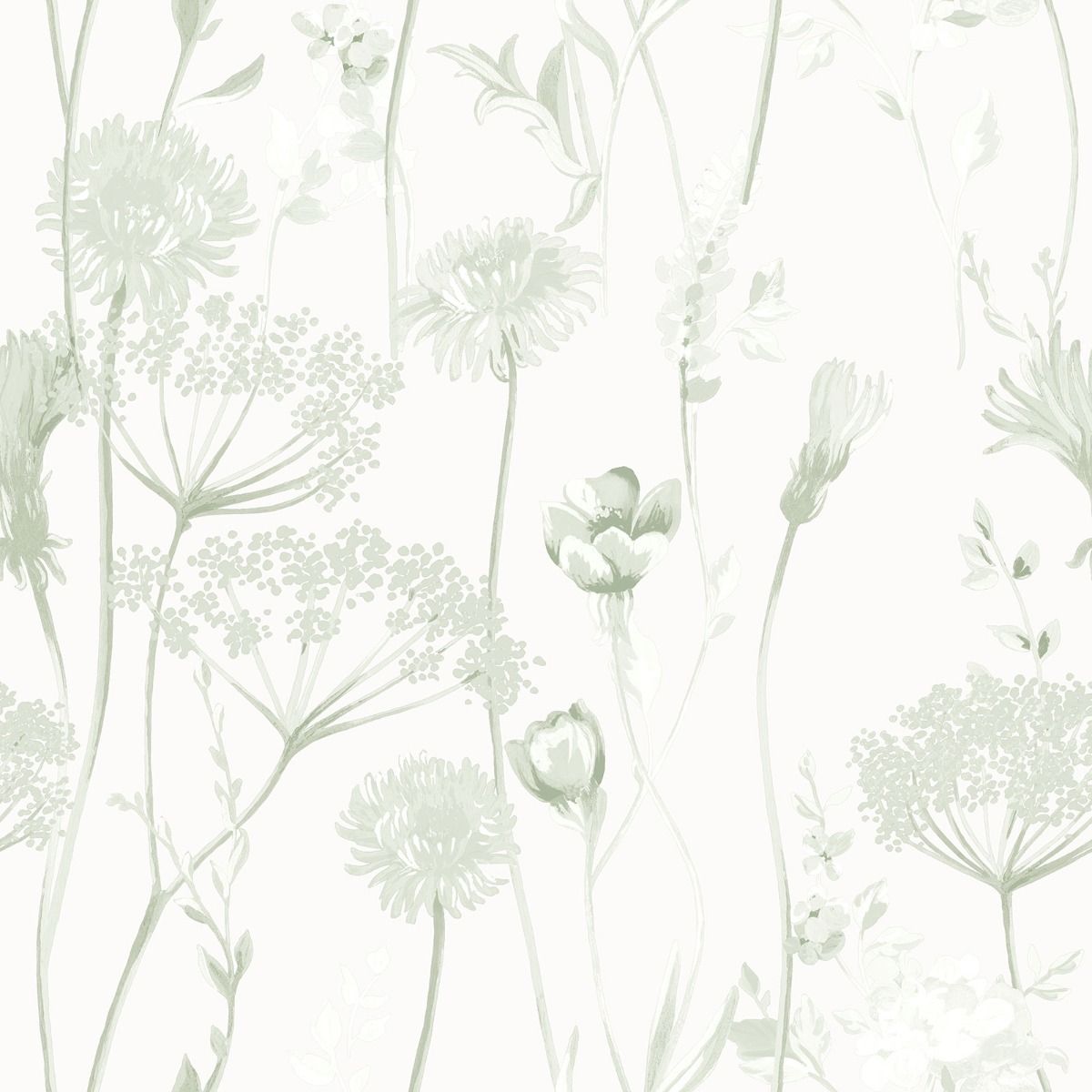 Meadowsweet Floral Wallpaper - Sage Green - Muriva