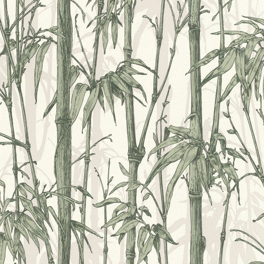 Florentine III Bamboo Wallpaper - Green - Rasch - 484847Wallpaper199