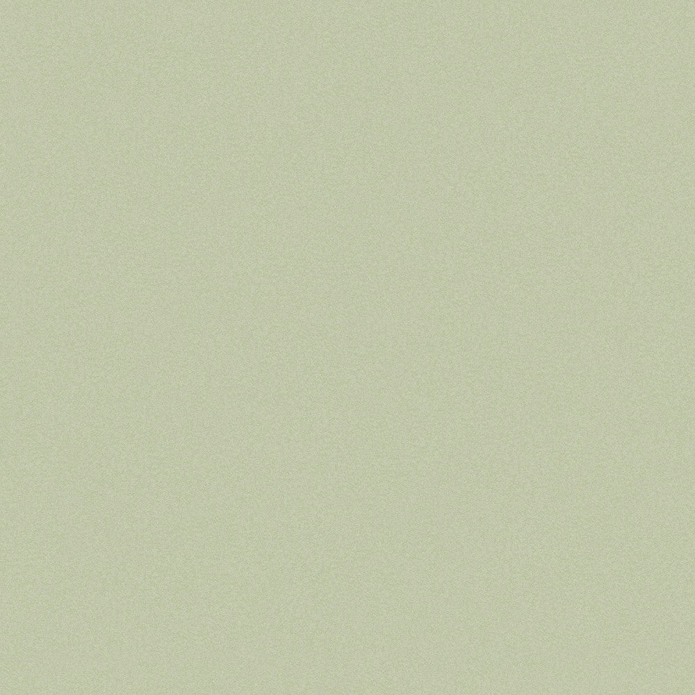 120885 - Plain Wallpaper - Sage - Joules