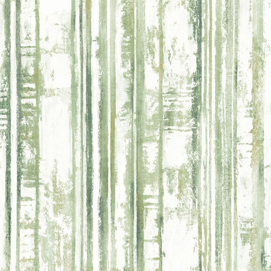 Eden Distressed Stripe Wallpaper - Green - Muriva