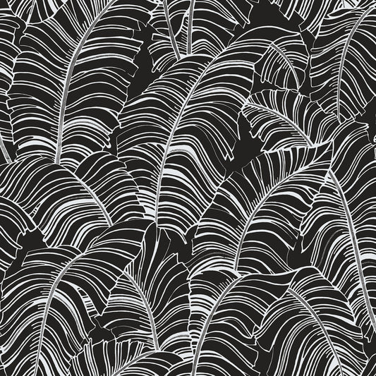 G78297 - Bazaar Palm Leaves Wallpaper - Black / White - Galerie