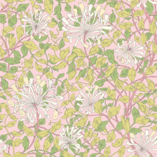 Honeysuckle Leaf Trail Wallpaper