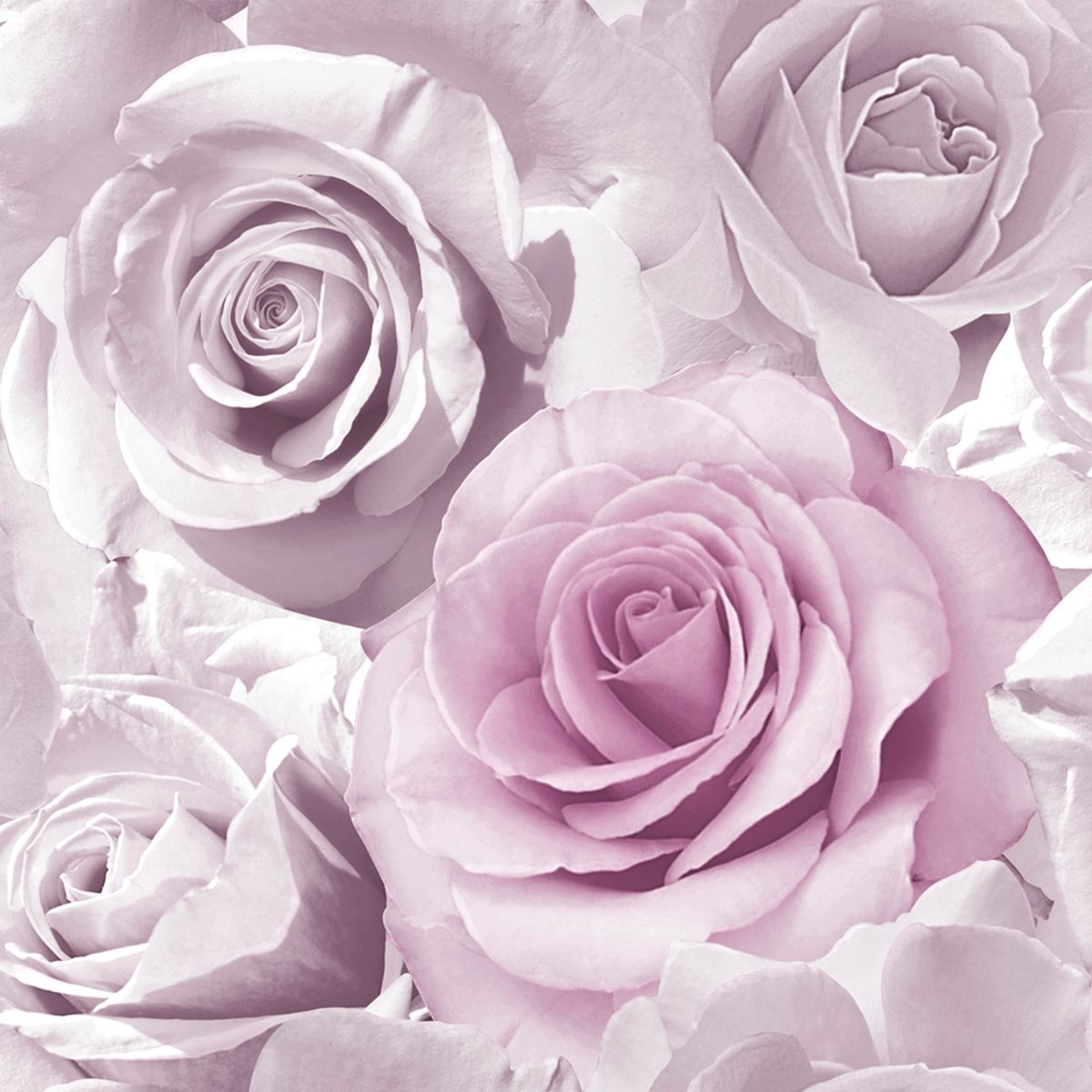 Madison Rose Glitter Floral Wallpaper - Amethyst & Lilac - Muriva