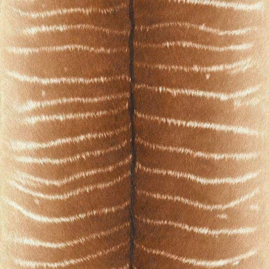 African Queen II Wallpaper - Brown - Rasch - 473520Wallpaper199
