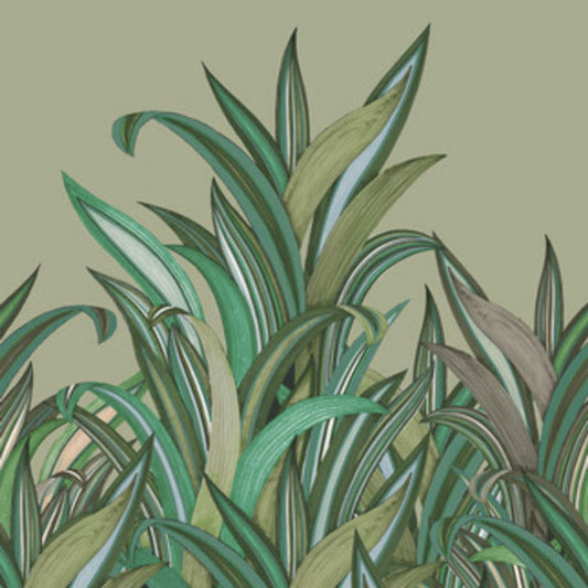 Amazing Mural Wallpaper - Green - Rasch - 542226Wallpaper199