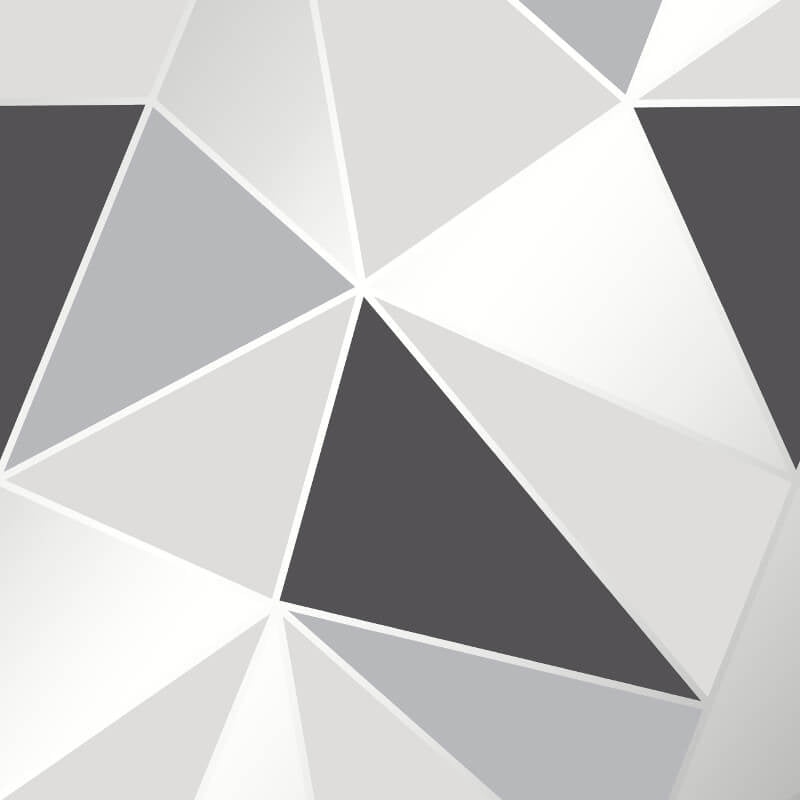 Apex Geo Wallpaper - Black/Silver - Fine Décor - FD41994Wallpaper199