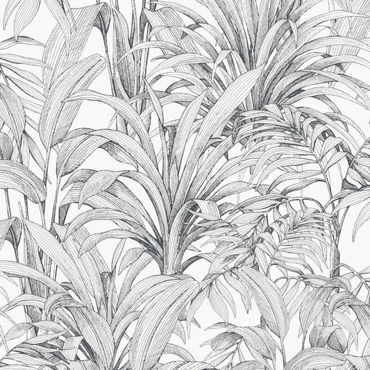 Asperia Linear Leaf Wallpaper - White/Black - Grandeco - A51401Wallpaper199