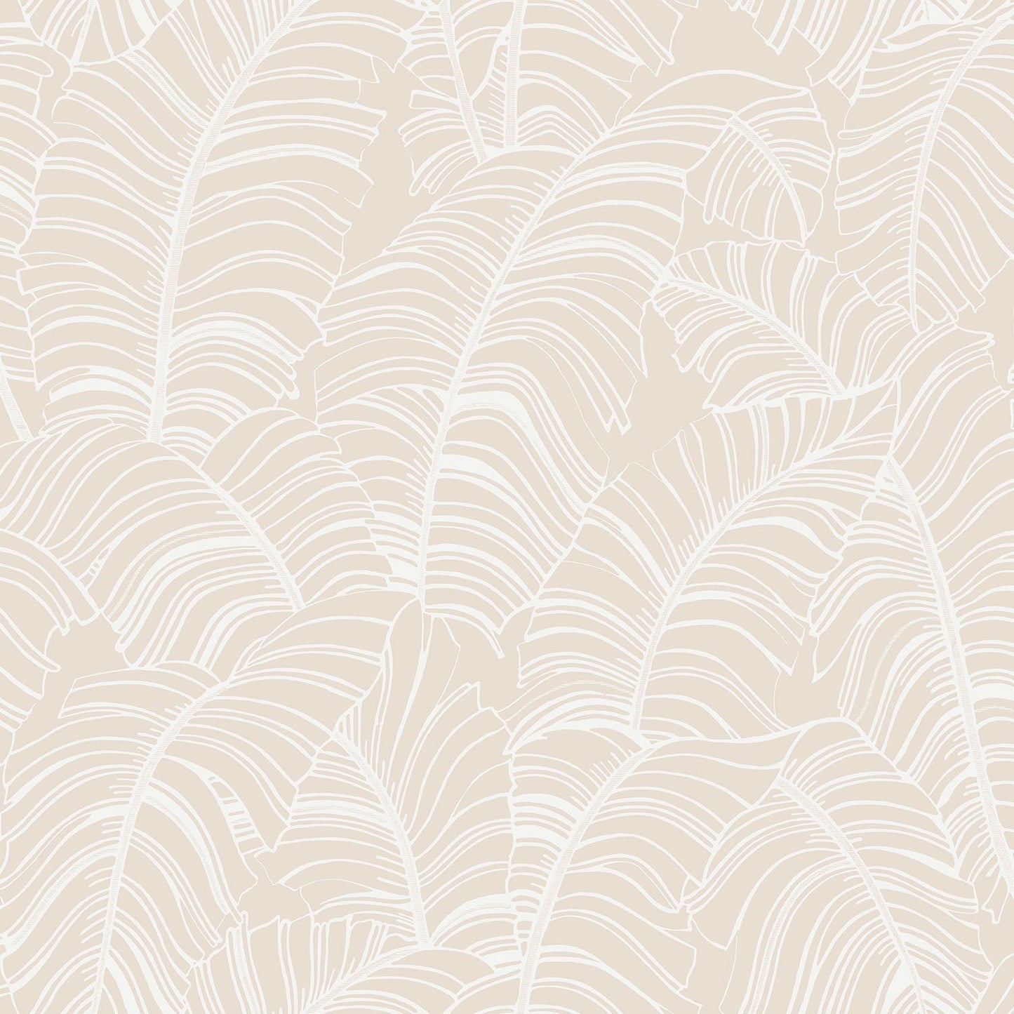 Bazaar Palm Leaves Wallpaper - Beige / White - Galerie - G78300Wallpaper199