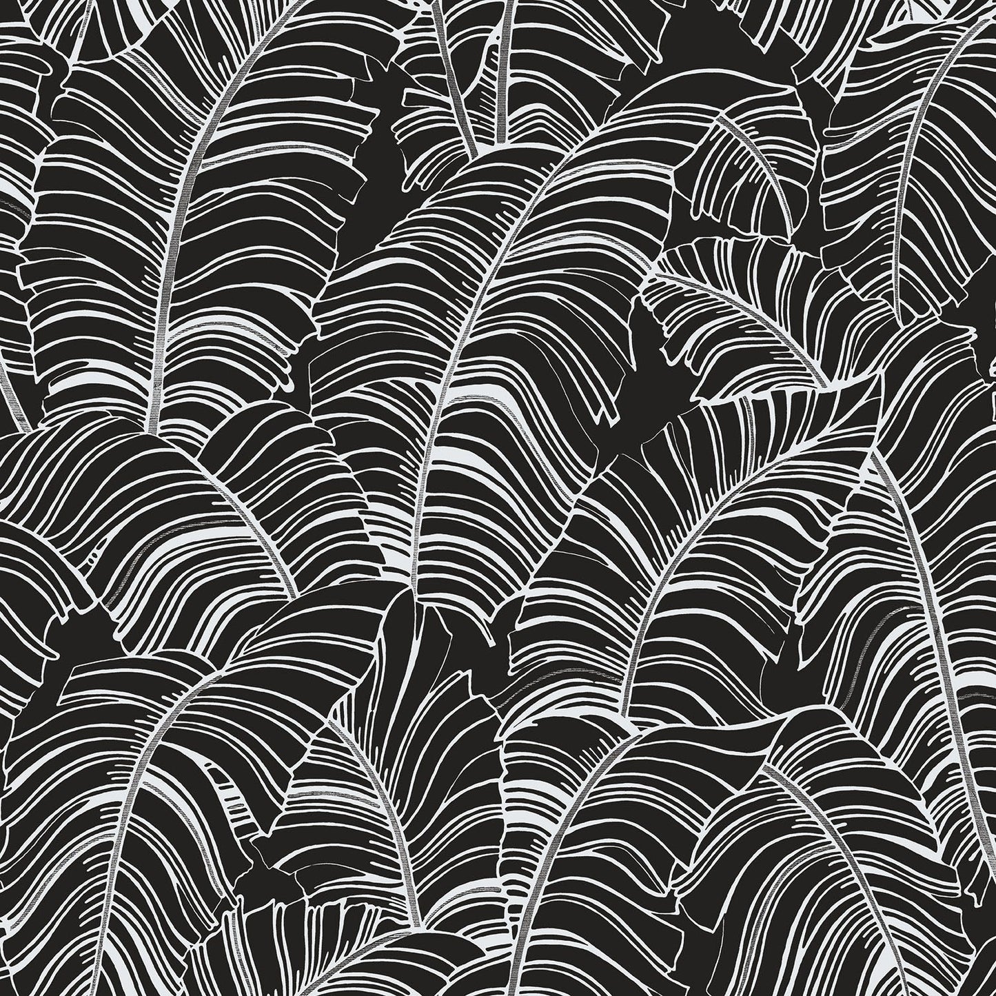 Bazaar Palm Leaves Wallpaper - Black / White - Galerie - G78297Wallpaper199