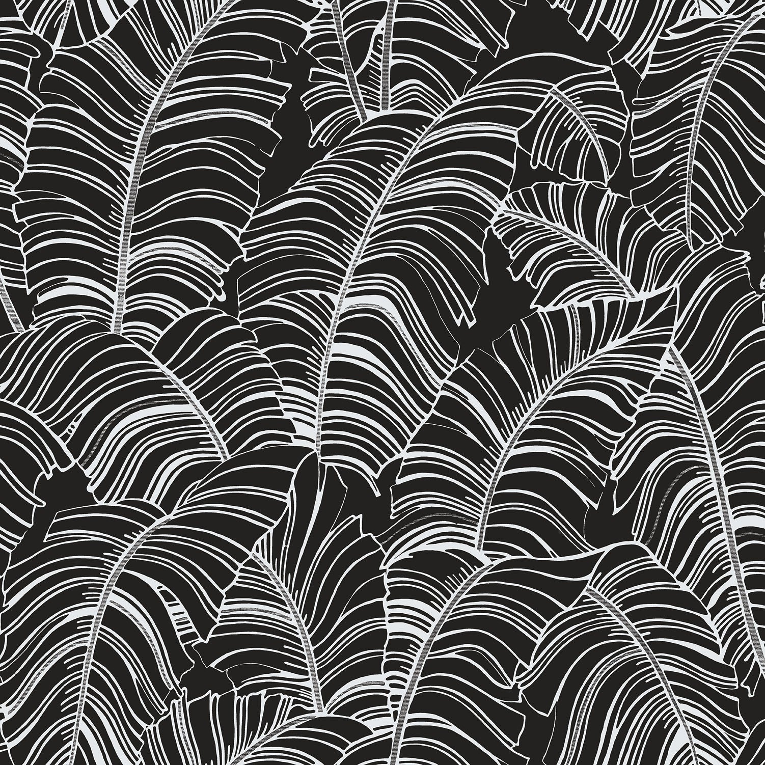 Bazaar Palm Leaves Wallpaper - Black / White - Galerie - G78297Wallpaper199