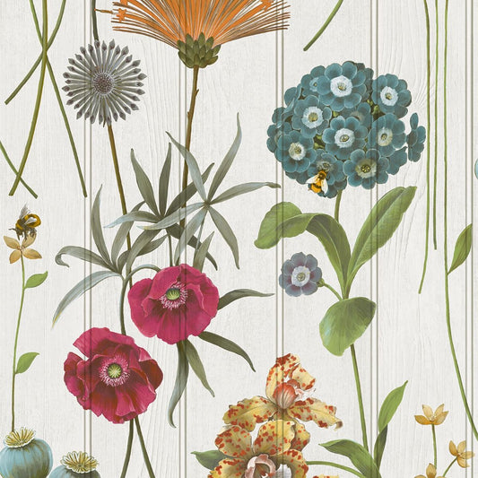 Belgravia - 4770Wallpaper199