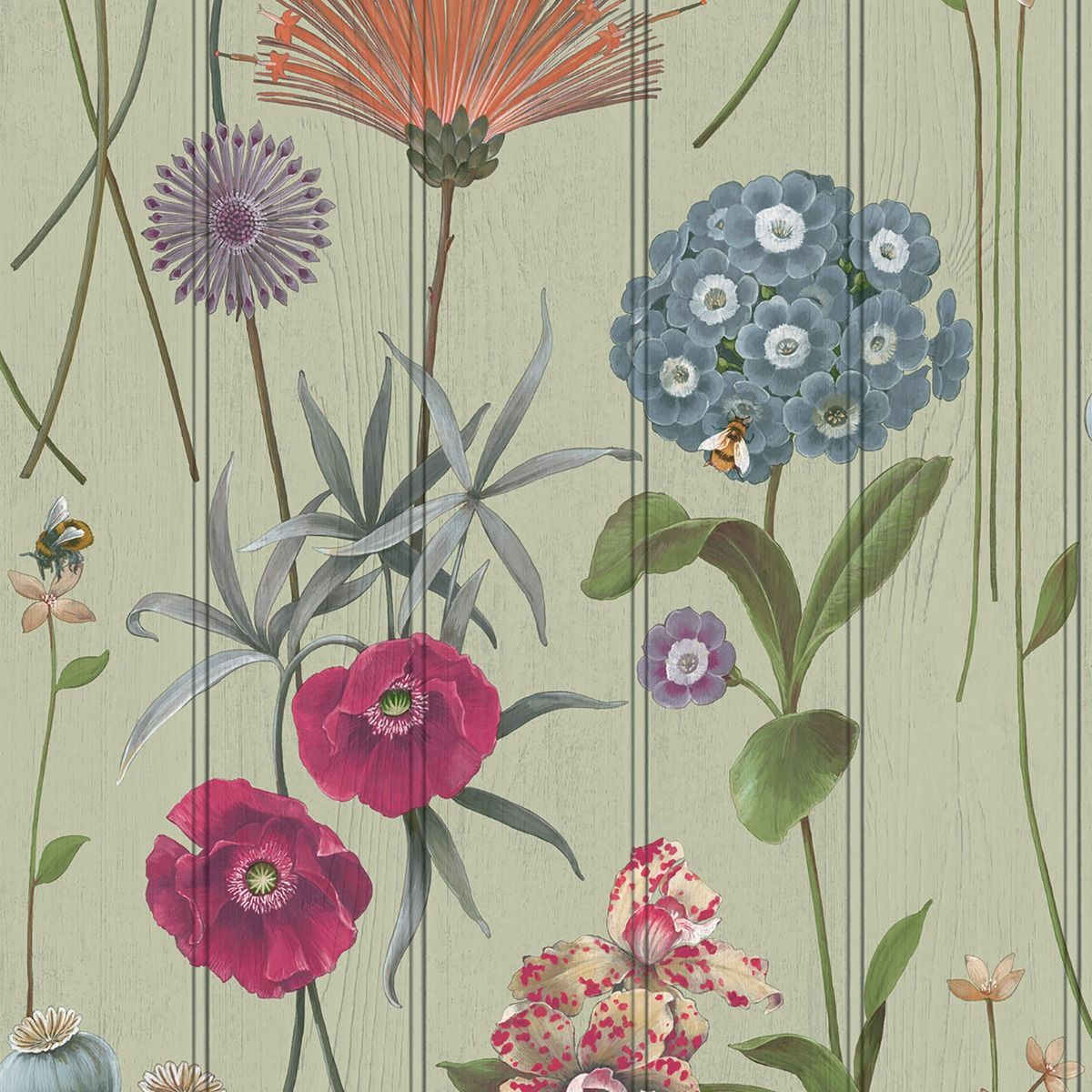 Belgravia - 4773Wallpaper199