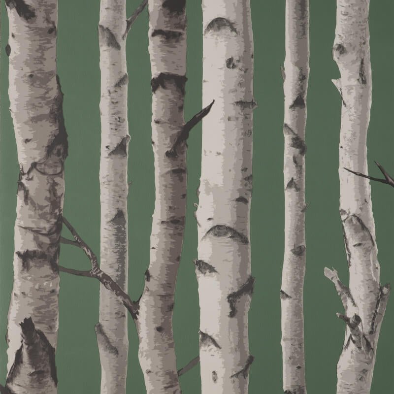 Birch Trees Wallpaper - Hunter Green - Fine Décor - FD43292Wallpaper199
