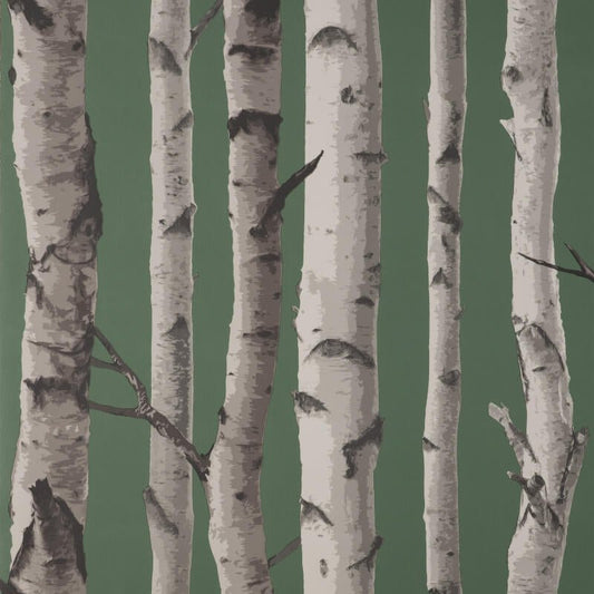 Birch Trees Wallpaper - Hunter Green - Fine Décor - FD43292Wallpaper199