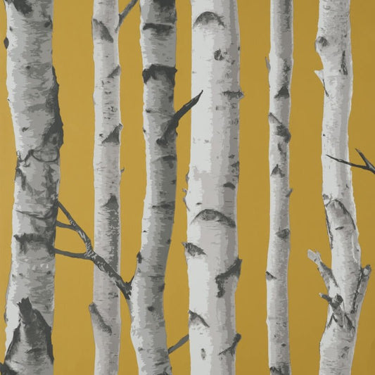 Birch Trees Wallpaper - Mustard - Fine Décor - FD43290Wallpaper199