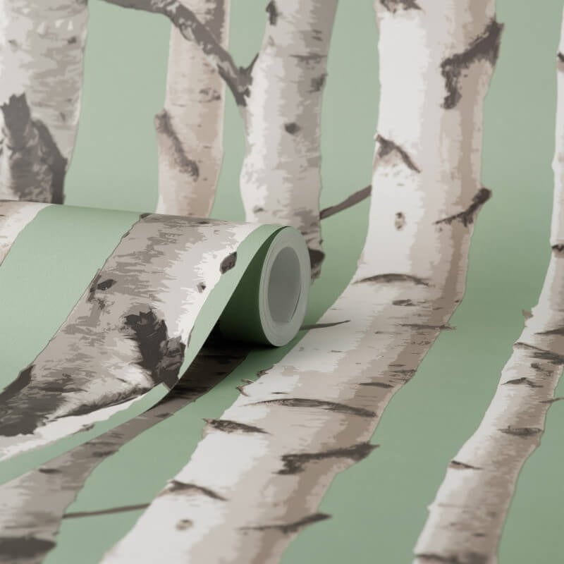 Birch Trees Wallpaper - Sage - Fine Décor - FD43291Wallpaper199