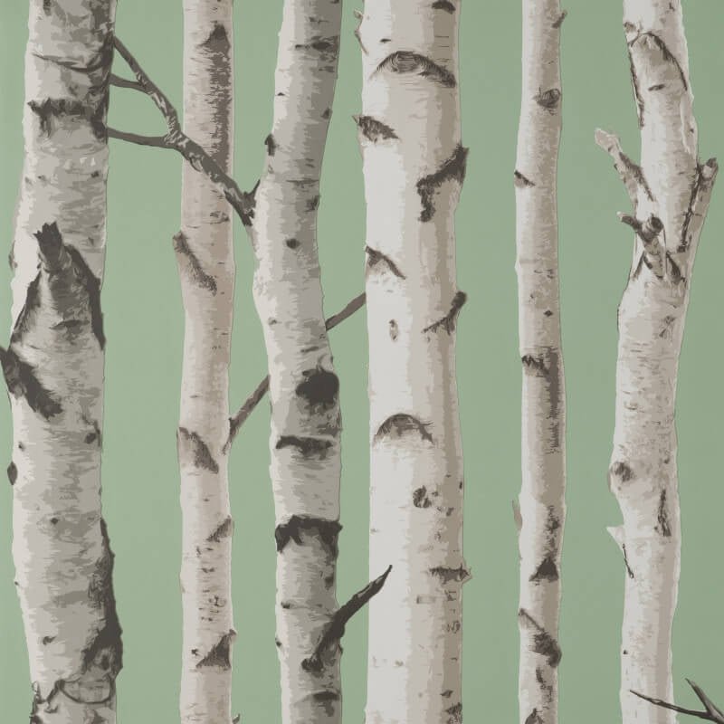 Birch Trees Wallpaper - Sage - Fine Décor - FD43291Wallpaper199