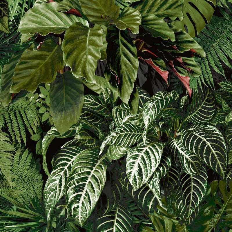 Ciara Living Wall Tropical Leaves Wallpaper - Green - Grandeco - A58601Wallpaper199