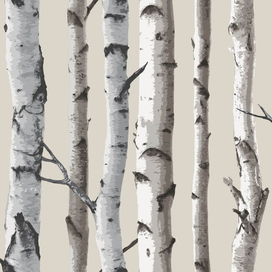 Distinctive Birch Tree Wallpaper - Natural - Fine Décor - FD31051Wallpaper199
