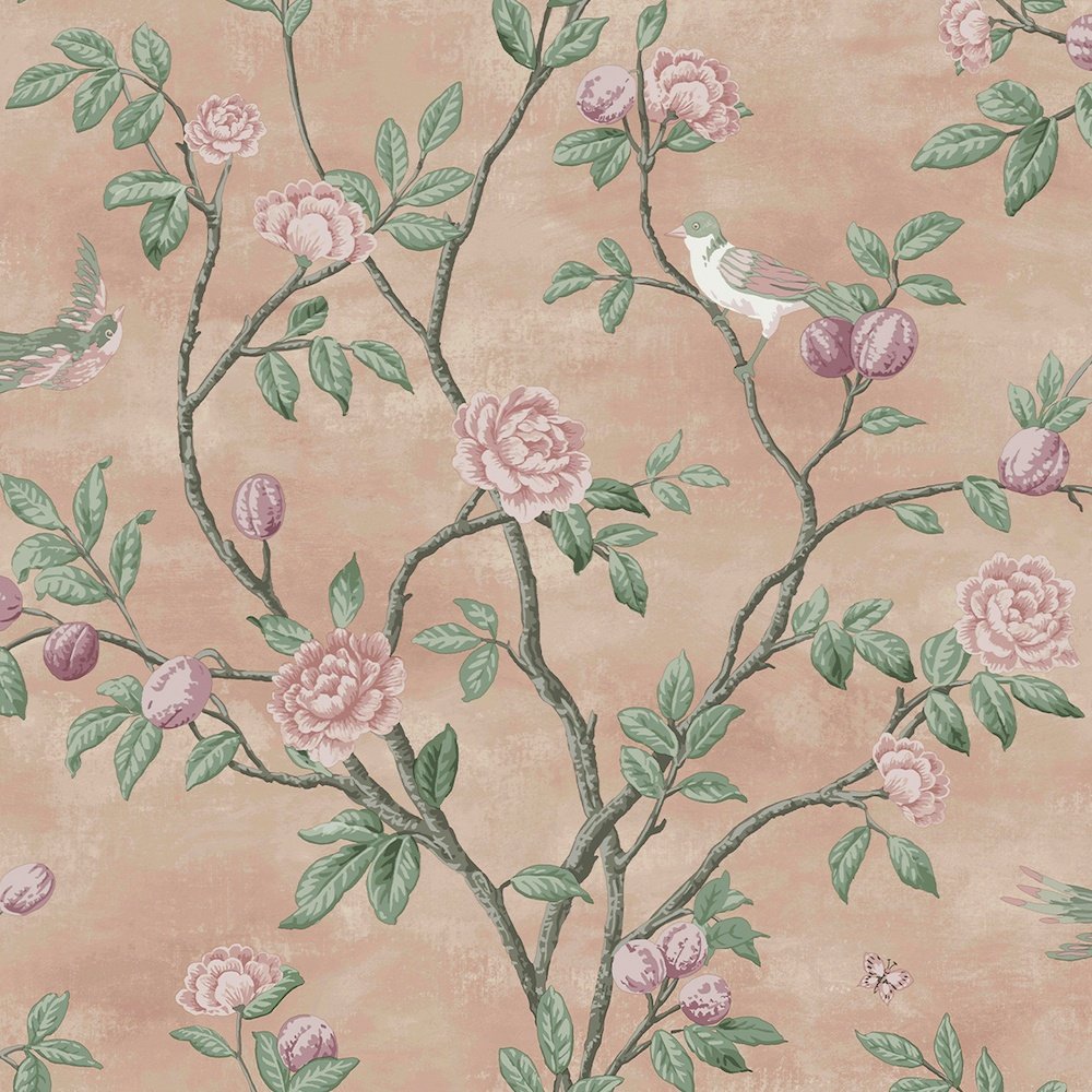 Eglantine Wallpaper - Blush - Laura Ashley - 113372Wallpaper199