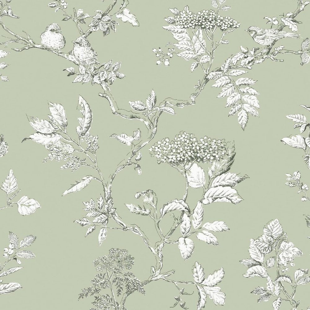 Elderwood Wallpaper - Sage - Laura Ashley - 113348Wallpaper199