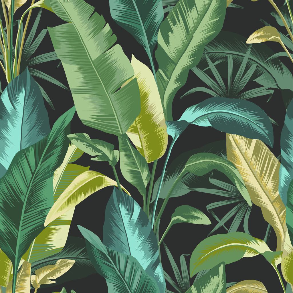 Envy - 118721Wallpaper199