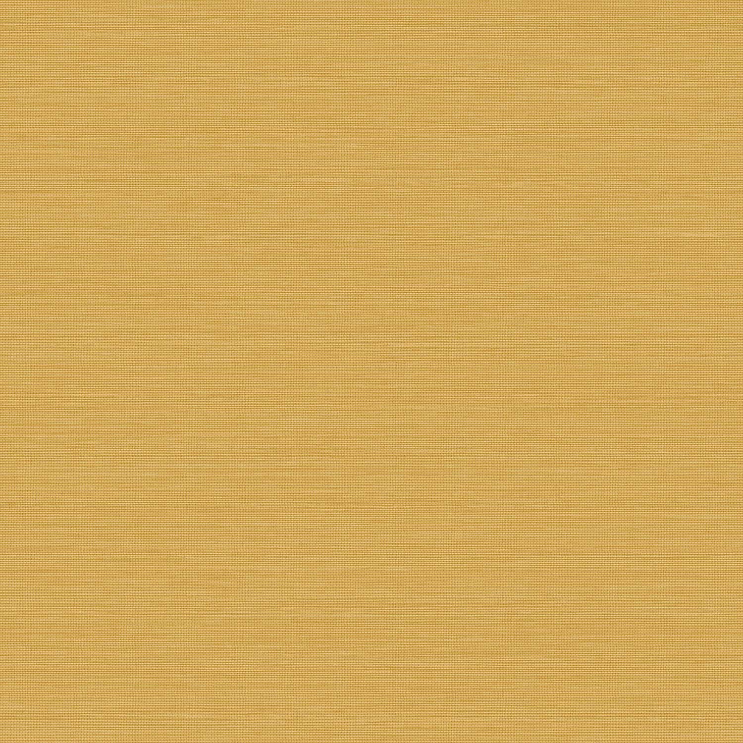 Envy - 120891Wallpaper199