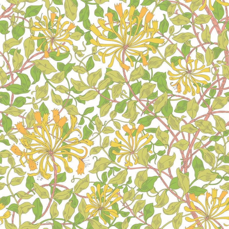 Honeysuckle Leaf Trail Wallpaper - Sunshine/Yellow - Hoopla Walls - HWA1074WWallpaper199