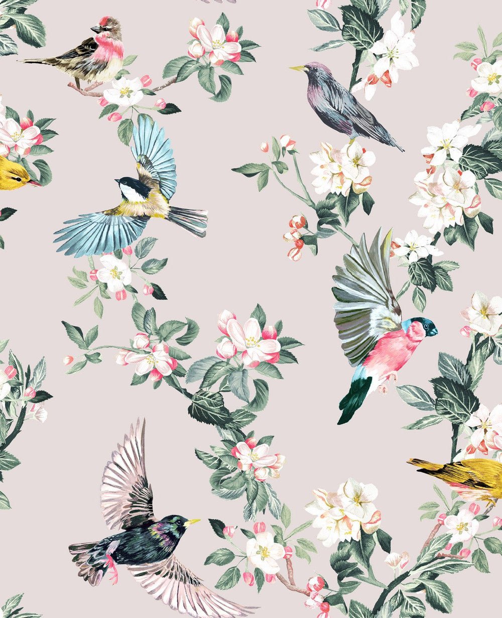 Joules - 118562Wallpaper199