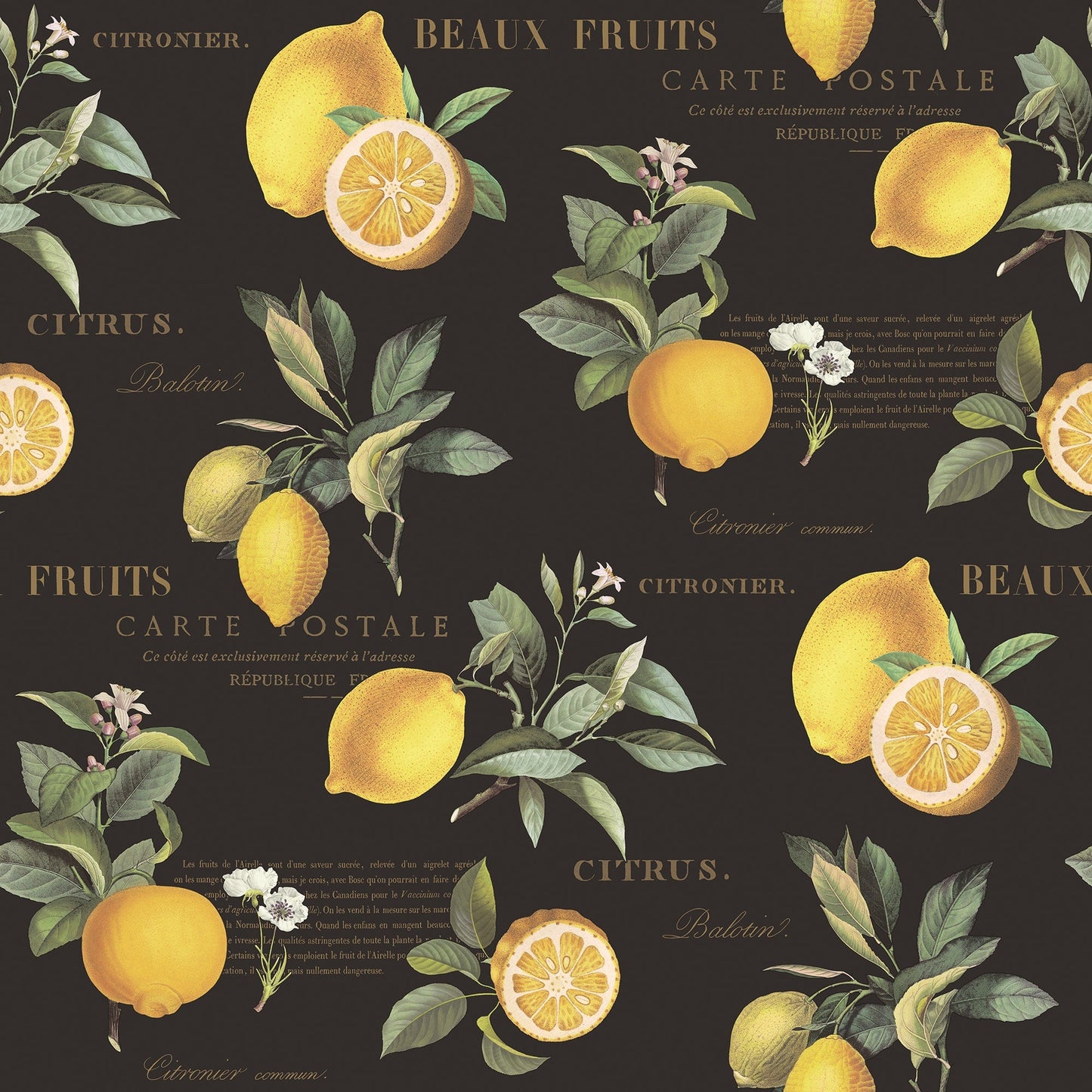 Just Kitchens Citron Botanical Wallpaper - Black / Yellow - Galerie - G45411Wallpaper199