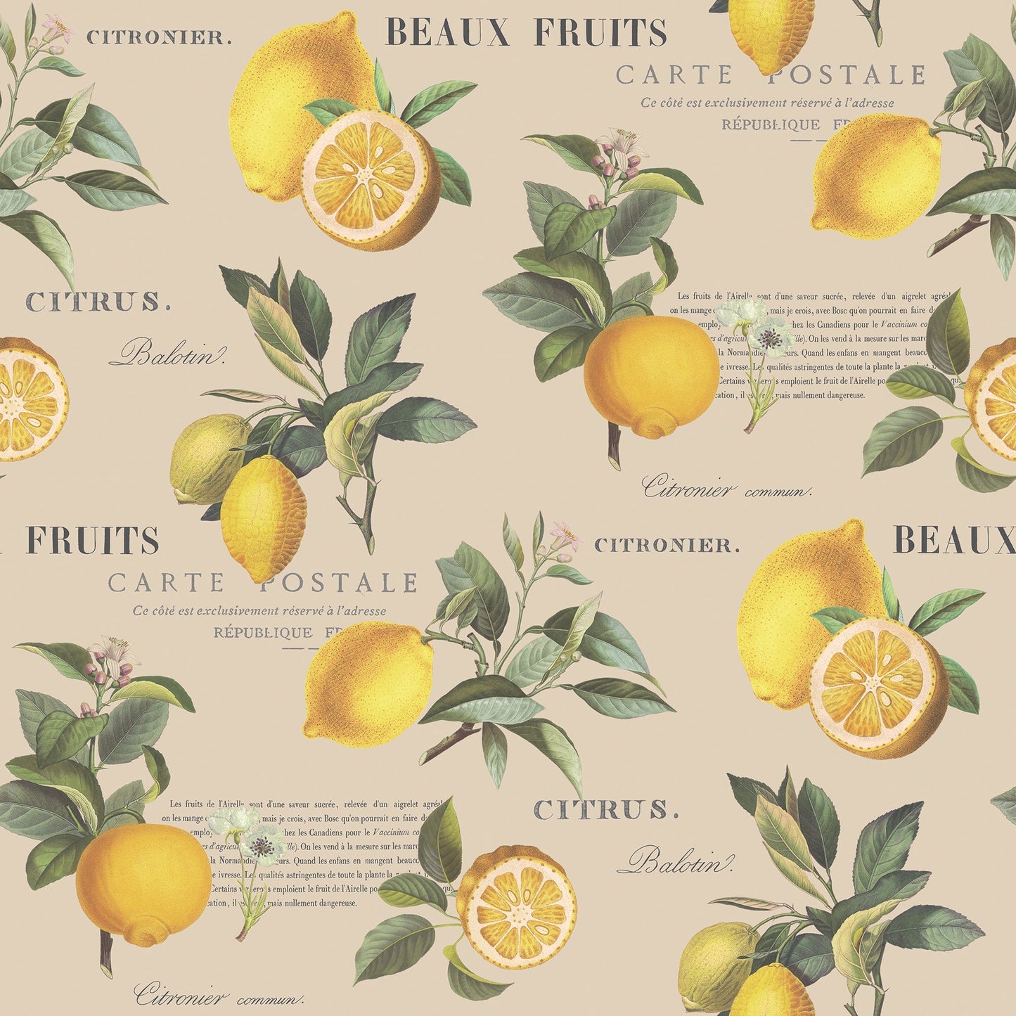 Just Kitchens Citron Botanical Wallpaper - Taupe - Galerie - G45410Wallpaper199