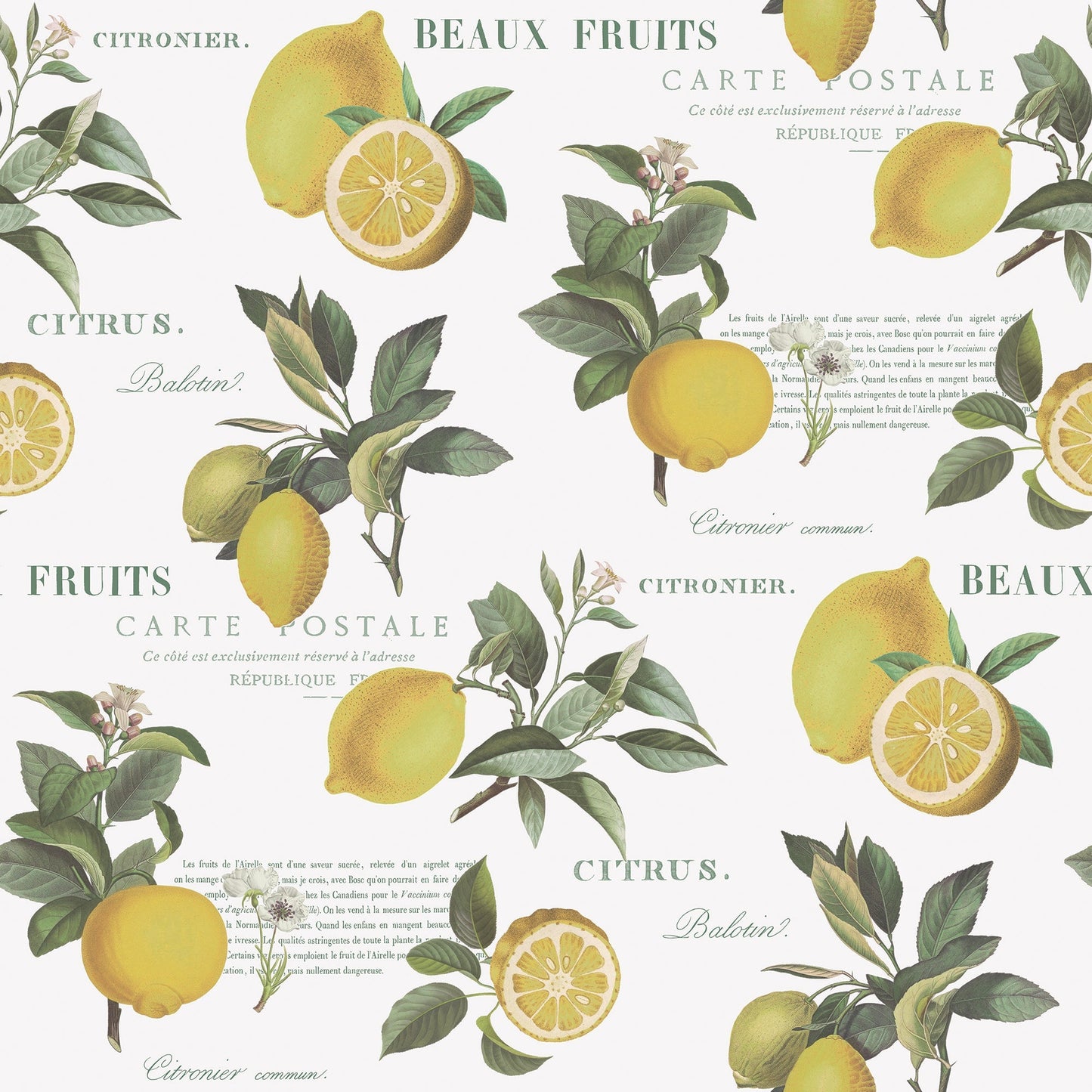 Just Kitchens Citron Botanical Wallpaper - Yellow / Green / White - Galerie - G45409Wallpaper199