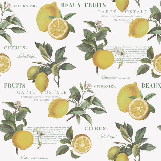 Just Kitchens Citron Botanical Wallpaper - Yellow / Green / White - Galerie - G45409Wallpaper199