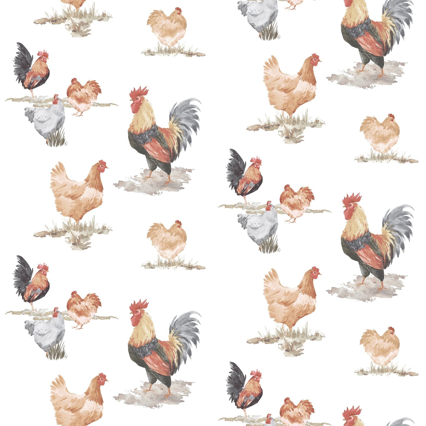 Just Kitchens Free Range Wallpaper - Black / Red / Beige - Galerie - G45415Wallpaper199