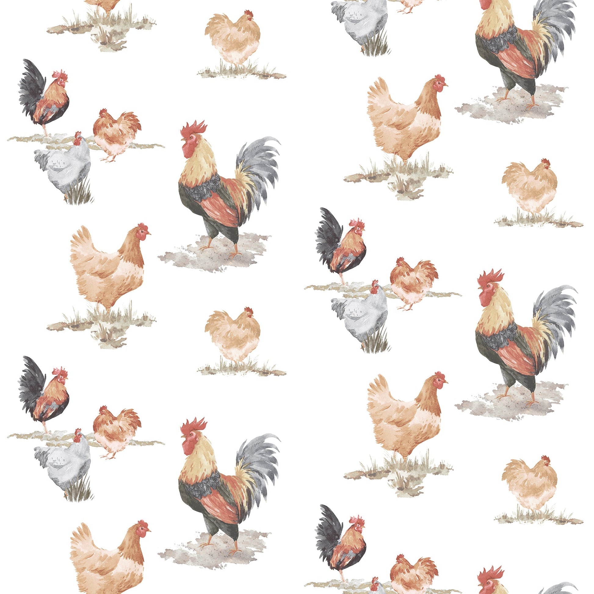 Just Kitchens Free Range Wallpaper - Black / Red / Beige - Galerie - G45415Wallpaper199