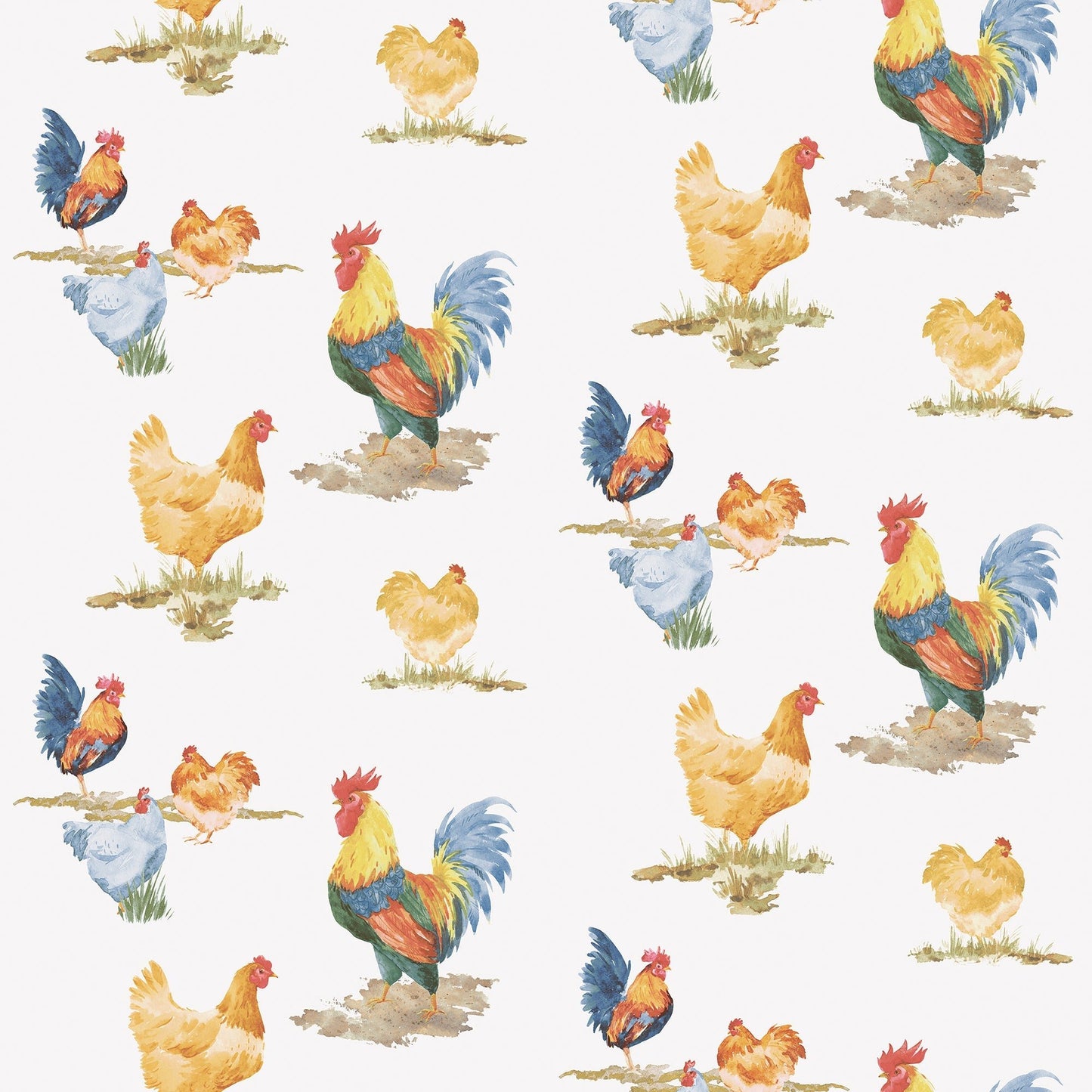 Just Kitchens Free Range Wallpaper - Blue / Yellow / Red - Galerie - G45416Wallpaper199