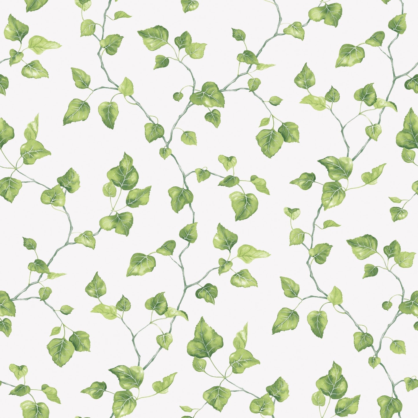 Just Kitchens Ivy Wallpaper - Green / White - Galerie - G45431Wallpaper199
