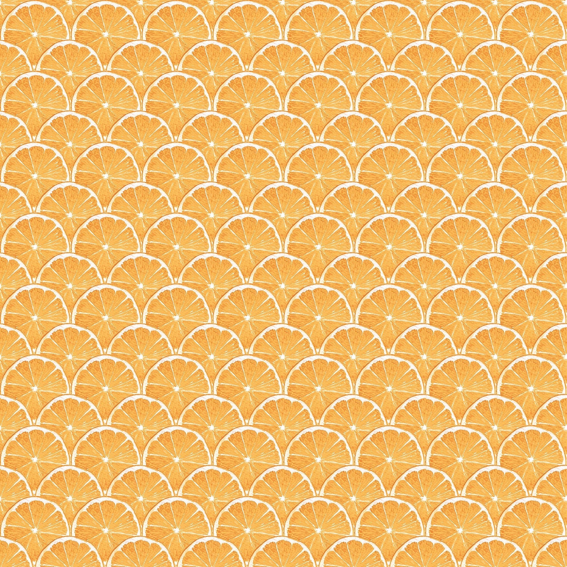 Just Kitchens Orange Scallop Wallpaper - Orange - Galerie - G45439Wallpaper199