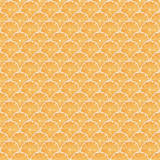 Just Kitchens Orange Scallop Wallpaper - Orange - Galerie - G45439Wallpaper199