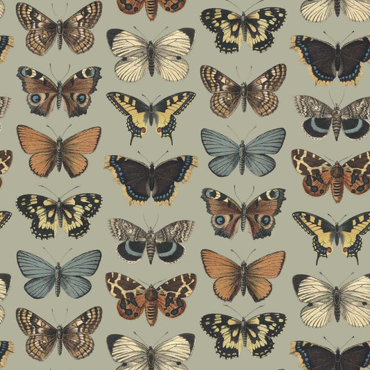 Lust Home - LH900013Wallpaper199