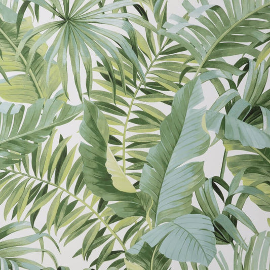 Maui Tropical Wallpaper - Green - Fine Décor - FD42850Wallpaper199