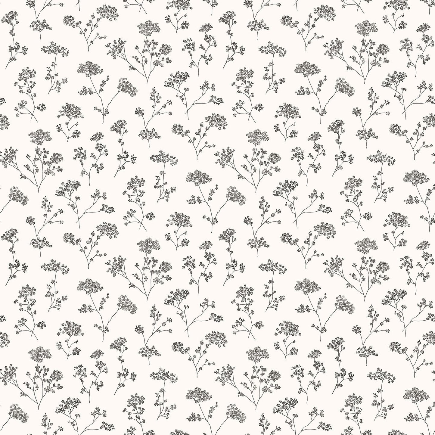 Miniatures 2 Parsley Flowers Wallpaper - Black - Galerie - G67870Wallpaper199