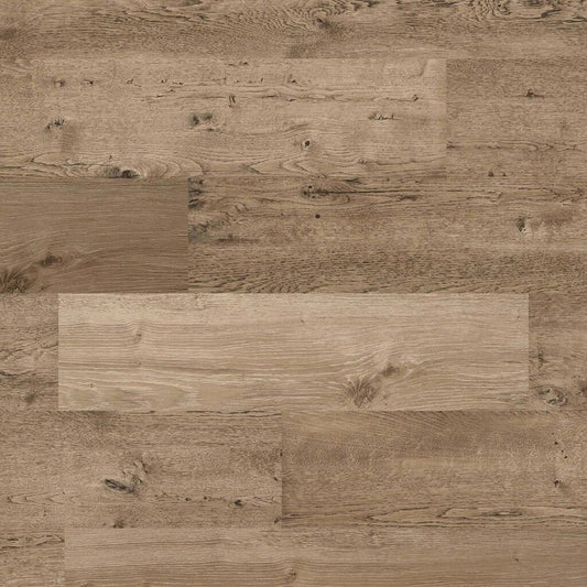 Next - 118311Wallpaper199