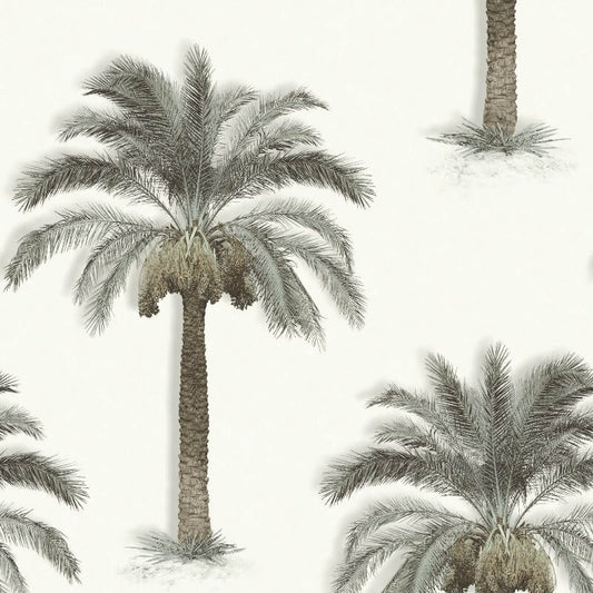 Palm Trees Wallpaper - Beige - SK Filson - SK10020Wallpaper199